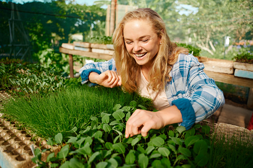 Happy young caucasian woman in checked shirt smiling while picking plants in plant nursery