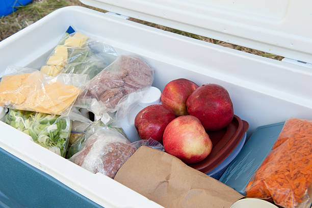 Blue igloo cooler, filled with picnic food stock photo