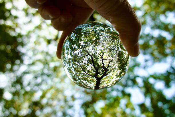 istock Hand holding crystal ball against trees 1508752804