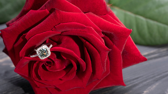 beautiful diamond ring on a red rose petal