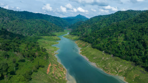 istock Aerial view tropical green forest and river with mountains in background, Green tree forest view from above river and forest. 1508787384