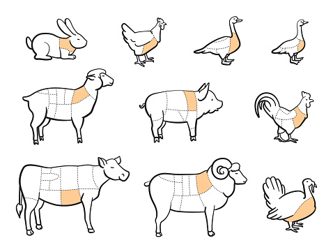 Butchering animals, cutting animal meat. Vector illustration set. Hare, chicken, goose, duck, lamb, piglet, rooster, ram, turkey, cow