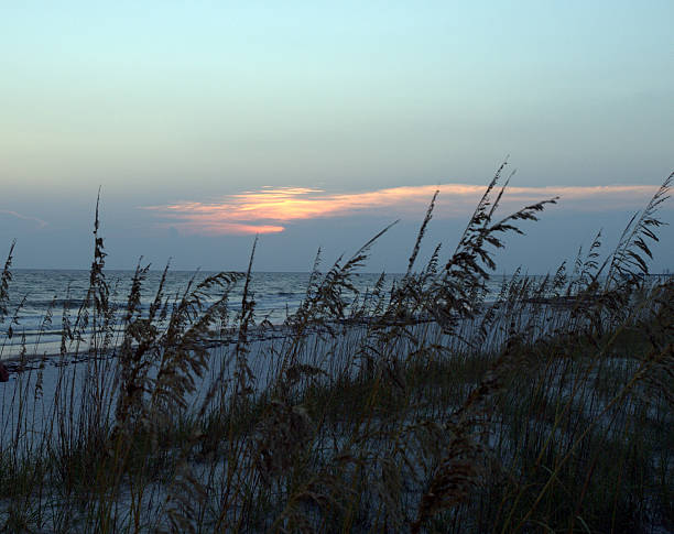 istock Sea sea oats during Florida sunset 150881078