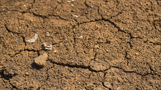 Top view of the dried up cracked soil. Drought, crop failure, global warming, climate change concept. Abstract texture background. Dried cracked earth soil ground texture background. Mosaic pattern.
