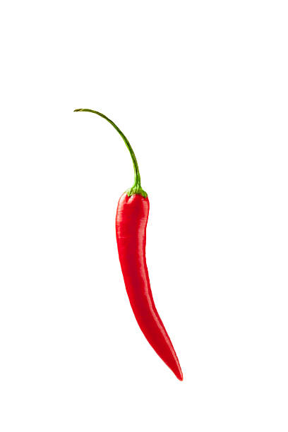 red pepper stock photo