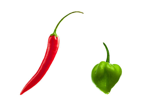 red and green pepper stock photo