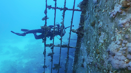 Scuba diver filming deck of ferry Salem Express shipwreck, Red sea, Safaga, Egypt