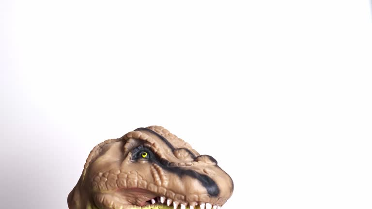 Tyrannosaurus rex puppet that enters flat from below opens its mouth closes it and disappears below again on white background