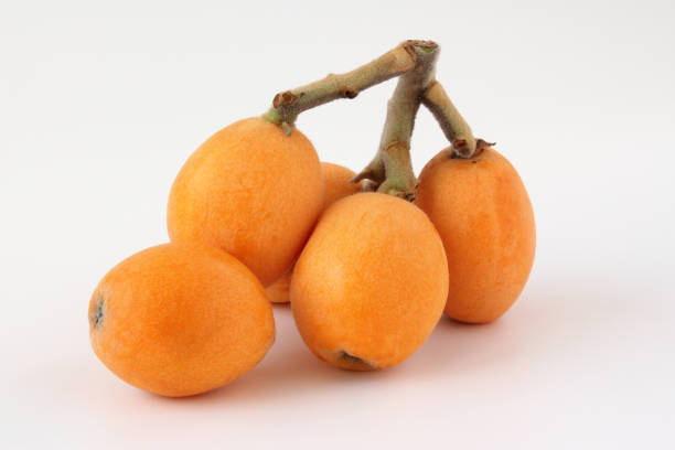 fruit de nèfle sur fond blanc - nèfle photos et images de collection