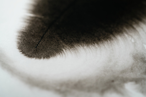 closeup black ink corner spreading on wet paper angle view, shallow focus