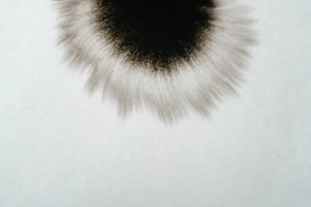 closeup black ink corner spreading on wet paper angle view