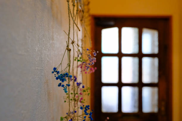 istock Kasumi grass dried flower 1508905067