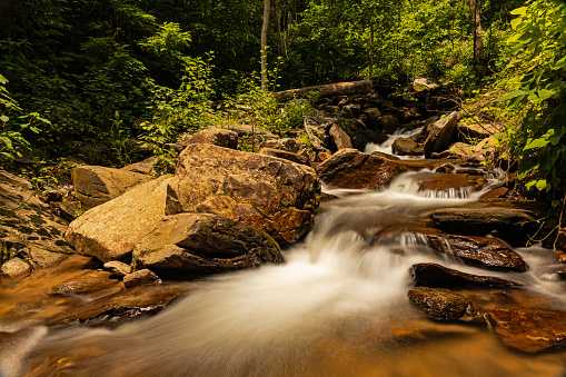 rapids in the Amicalola Falls State Park
