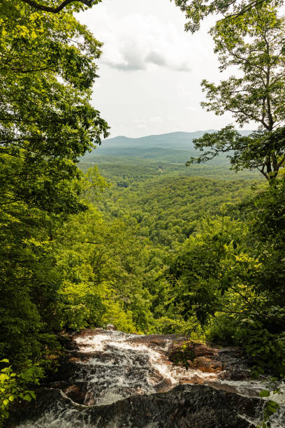 view from the top of the waterfall in the Amicalola Falls State Park