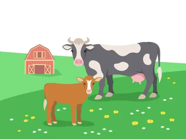 Vector illustration of Cow and calf grazing in green meadow  simple flat illustration