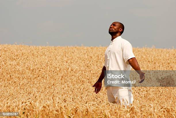 Dank Farmer Beten Für Eine Gute Ernte Stockfoto und mehr Bilder von Afrikanischer Abstammung - Afrikanischer Abstammung, Beten, Männer