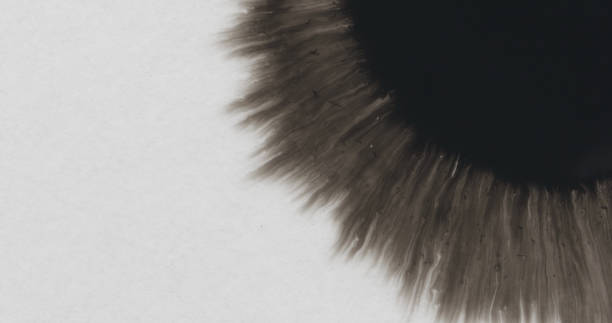 istock closeup black ink corner spreading on wet paper top view 1508966025