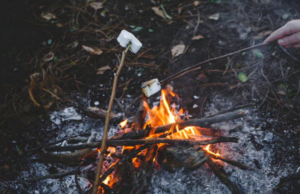 istock Marshmallow roasting hand drawn. Marshmallows on skewers in night camping fire. Wood campfire background 1508966545
