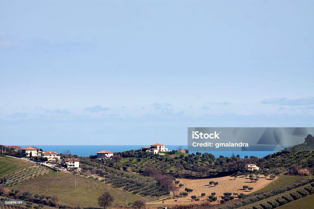 Plante cultivée hills, à proximité de la mer - Photo de Abruzzes libre de droits