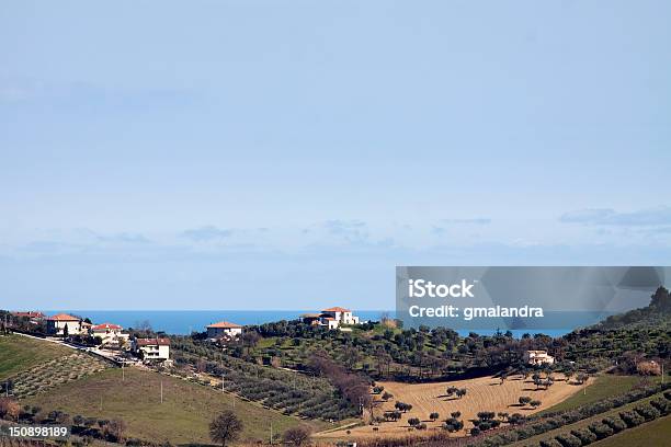 Photo libre de droit de Plante Cultivée Hills À Proximité De La Mer banque d'images et plus d'images libres de droit de Abruzzes - Abruzzes, Vignoble, Agriculture