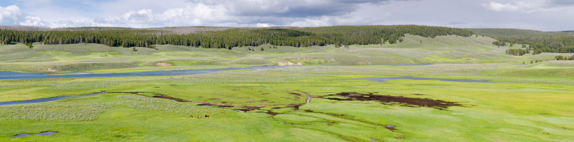 overview in Yellowstone National Park in Wyoming in the United States of America