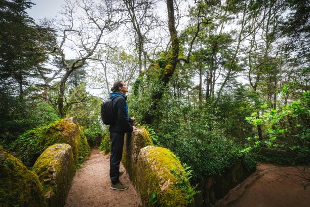 istock Exploring beautiful and exotic natural park. 1509010945