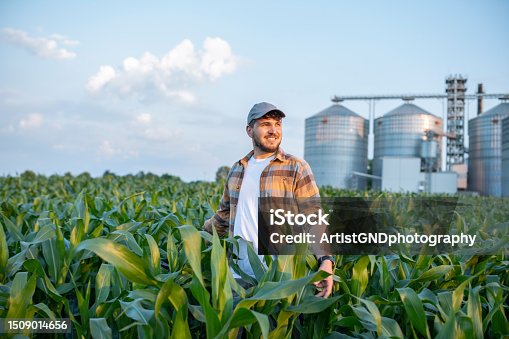 istock Shot of farmer enjoying the growth of his corn crops. 1509014656