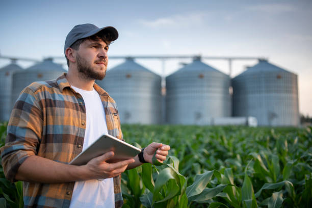 istock Farmer using technology to run his agricultural business. 1509014657
