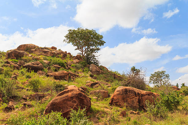 mound in the savannah with rocks and vegetation against a blue cloudy sky.Africa,Kenya