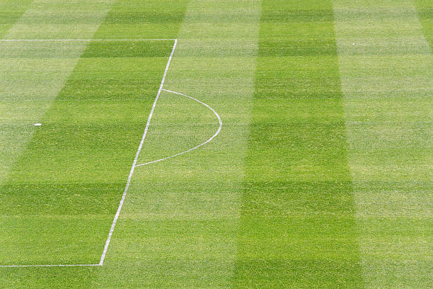istock Green Soccer / Football Field 150901890