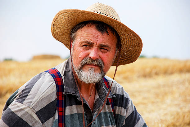istock Senior farmer on wheat field 150901928