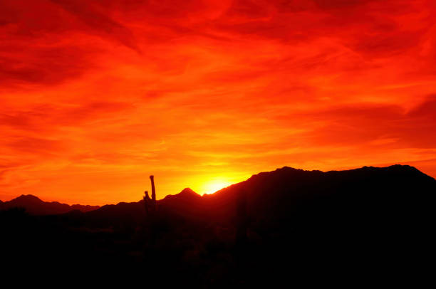istock Sonora Desert Arizona Sunset 1509025268