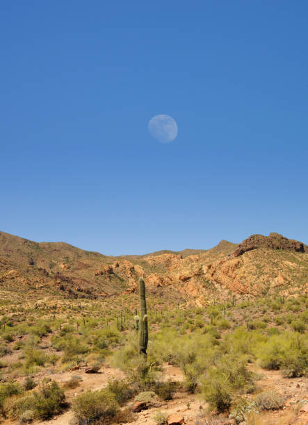 istock Moon Rise Along The Apache Trail Arizona 1509025295