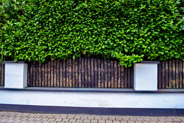 istock Decorative wooden fence between white columns with greenery in the background in Germany 1509027563