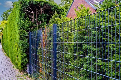 A blue metal fence next to a green hedge in Germany.