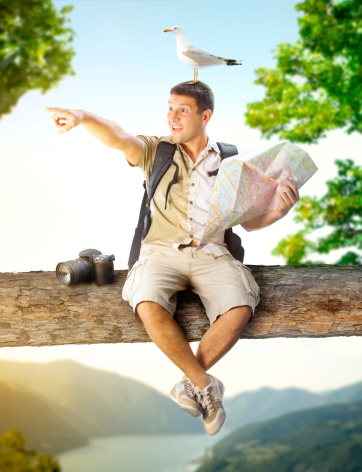 Young excited guy sitting on the tree with seagull on head and map in hand. He is showing new traveling direction.