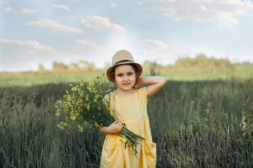 Little toddler girl in a yellow dress walking and picking yellow flowers on a meadow field