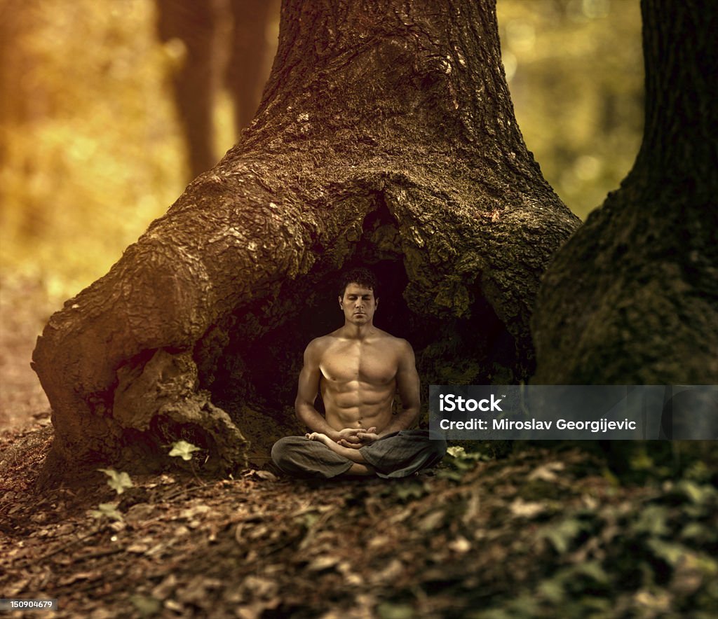 Meditazione nella natura - Foto stock royalty-free di Meditare