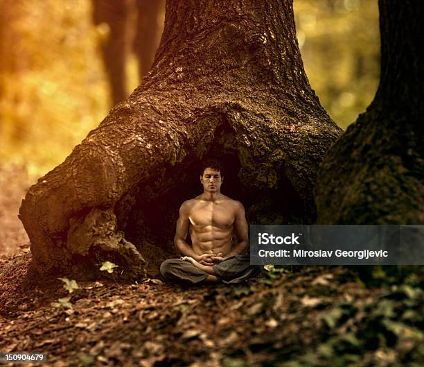 Meditazione Nella Natura - Fotografie stock e altre immagini di Meditare - Meditare, Yoga, Zen