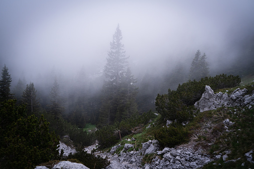 Fog is gathering in the mountains of Velebit National Park. Dark mood.
