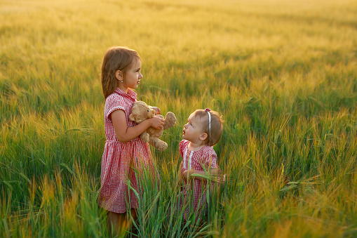 A girl holds a plush toy bear in hands while standing next to little sister. Spiking spikelets of rye at sunset.
