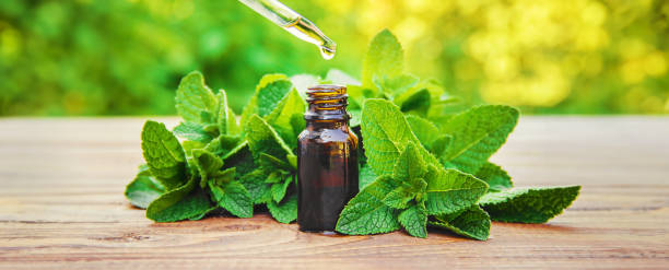 istock Peppermint essential oil in a small bottle. Selective focus. 1509081168