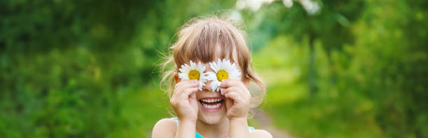 istock the girl is holding chamomile flowers in her hands. Selective focus. 1509081467