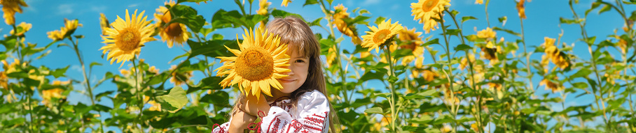 A child in a field of sunflowers in an embroidered shirt. Ukrainian. Selective focus.