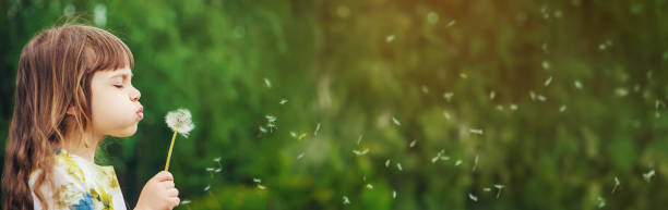 girl blowing dandelions in the air. selective focus.
