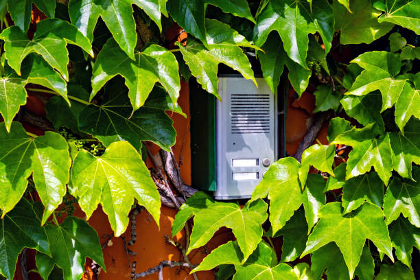 istock A doorbell on a brick wall covered with green leaves in Germany 1509085343