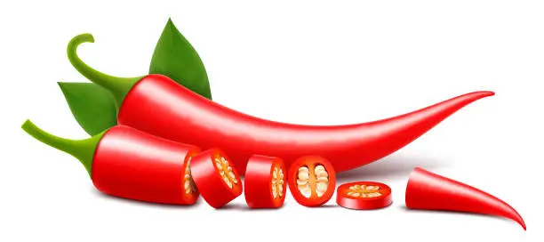 Vector illustration of Two Red chili peppers with sliced isolated on white background. Hot pepper. Cayenne pepper. Pieces with seeds, circles, chopped pepper with seeds. Realistic 3d vector illustration