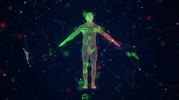 istock Human Anatomy - Medical 1509112849