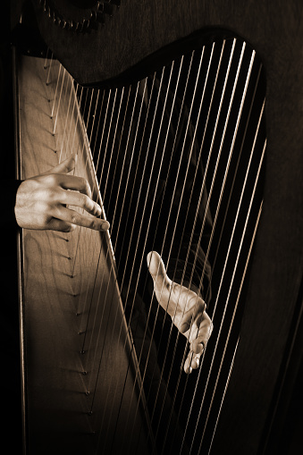 Harp strings closeup hands. Harpist playing  celtic harp Instrument
