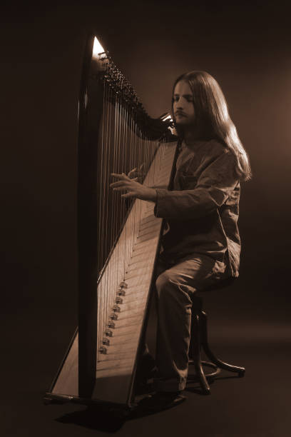 istock Irish harp player. Musician celtic harpist 1509140373